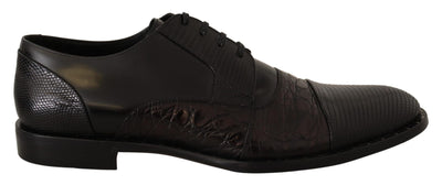 Dolce & Gabbana Elegant Black Derby Oxford Wingtips - Masuh best bargains 