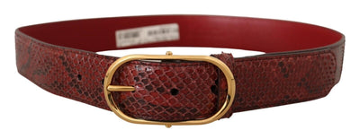 Dolce & Gabbana Elegant Red Snakeskin Leather Belt - Masuh best bargains 
