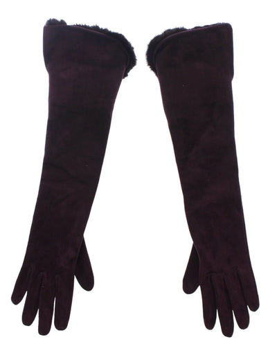 Dolce & Gabbana Elegant Elbow Length Purple Fur Gloves - Masuh best bargains 