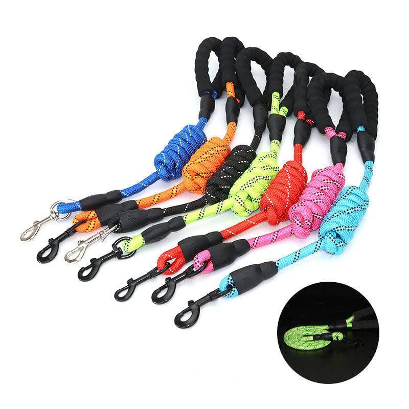 Pet Leash With Reflective & Comfortable Padded Handle For Small; Medium And Large Dogs - Masuh best bargains 